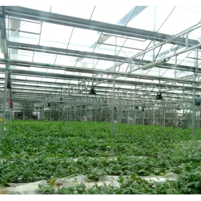 Greenhouse greenhouse greenhouse