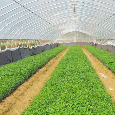 Thermal insulation succulent yang waterproof garden greenhouse